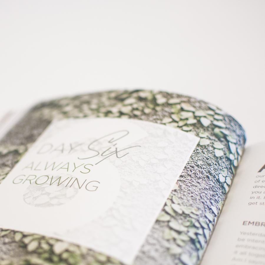 21 Days of Prayer — Book — image 2